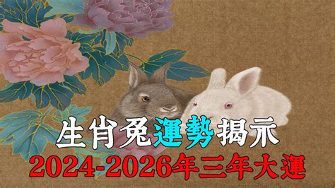 屬兔運勢2024|2024生肖兔整年運勢一次看！多注意健康、主動做一。